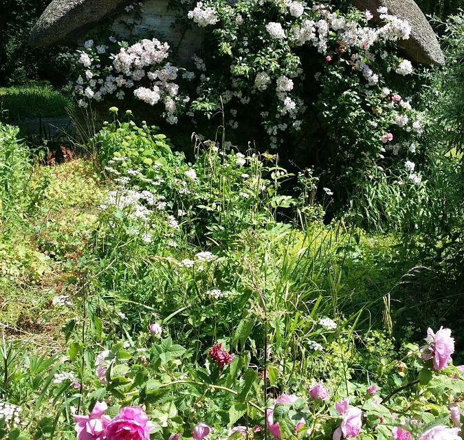 Beautiful Cotswold garden